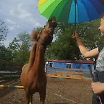 Urlaub Am Auf Dem Ponyhof Apartamento