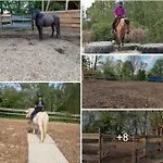 Urlaub Am Auf Dem Ponyhof Apartamento Görlitz