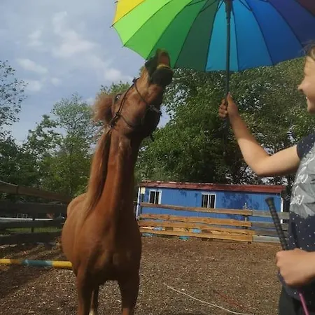 Urlaub Am Auf Dem Ponyhof Apartment