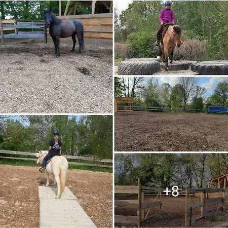 Urlaub Am Auf Dem Ponyhof شقة غورليتز