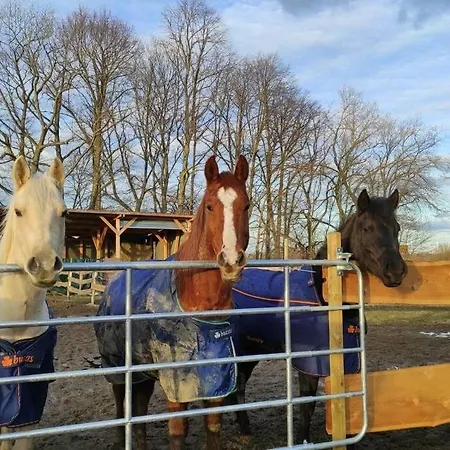 Urlaub Am Auf Dem Ponyhof *