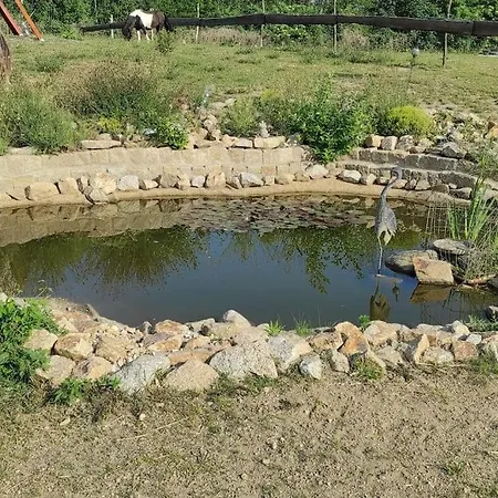 شقة Urlaub Am Auf Dem Ponyhof غورليتز