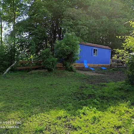Urlaub Am Auf Dem Ponyhof